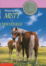 Load image into Gallery viewer, Misty of Chincoteague