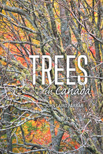 Load image into Gallery viewer, Trees In Canada