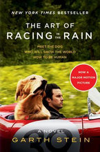 Load image into Gallery viewer, Art Of Racing In The Rain
