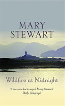 Load image into Gallery viewer, Wildfire at Midnight
