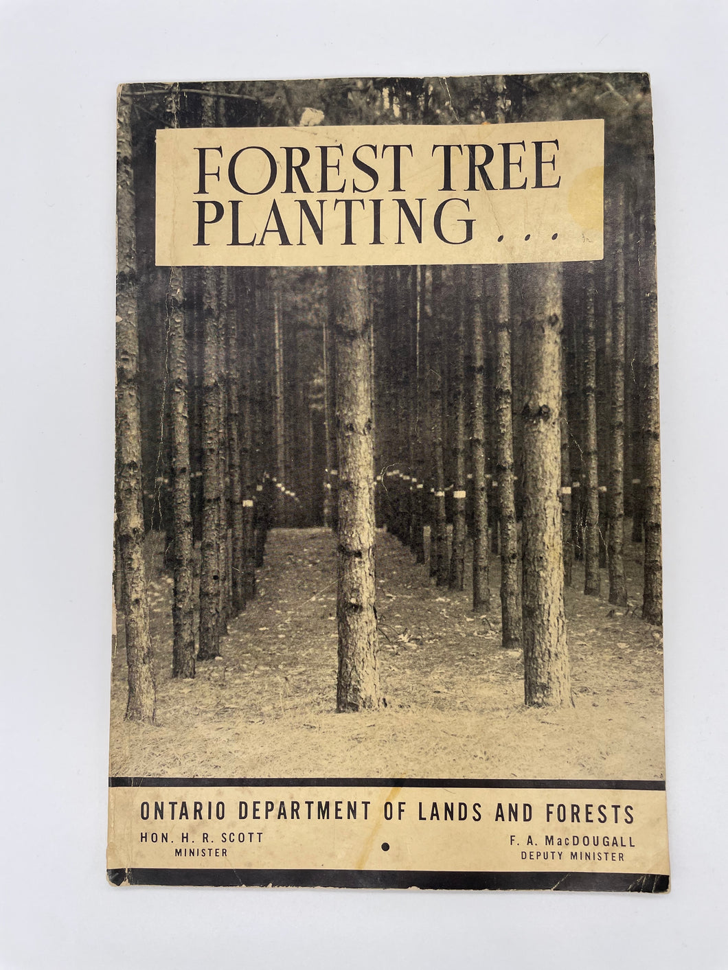 Forest Tree Planting: Bulletin No. R 1 Revised 1947