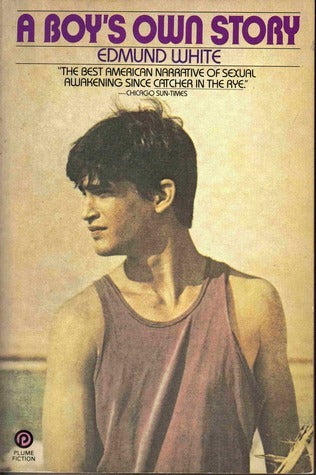 A Boy's Own Story