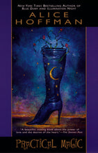 Load image into Gallery viewer, Practical Magic
