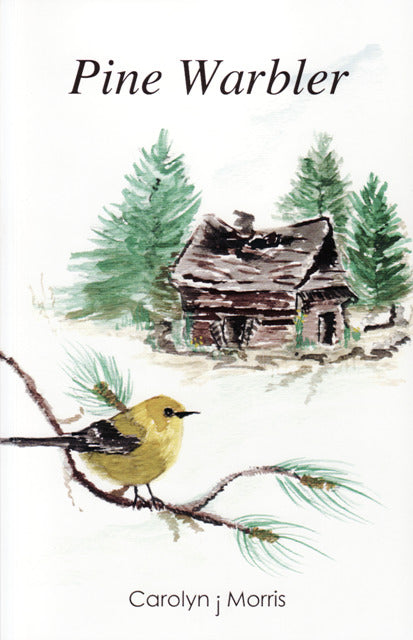 Pine Warbler