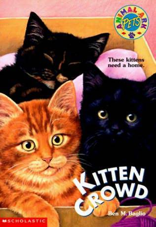 Kitten Crowd