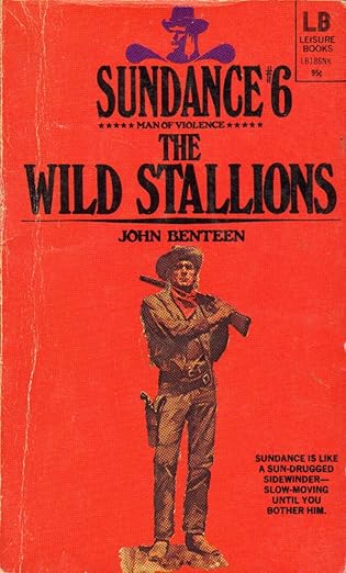 Sundance The Wild Stallions
