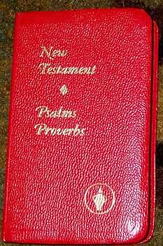 The LifeLight New Testament with Psalms and Proverbs