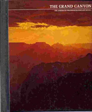 Mischling - Target Club Pick cover image