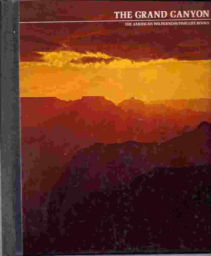 Mischling - Target Club Pick cover image