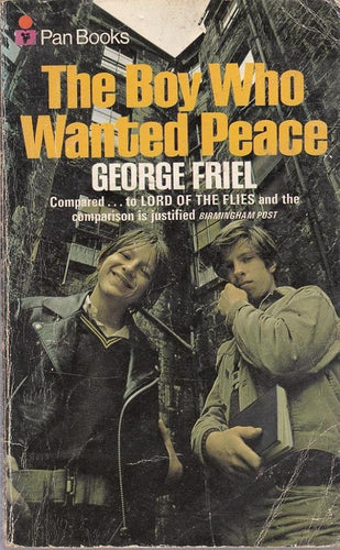 Boy Who Wanted Peace cover image