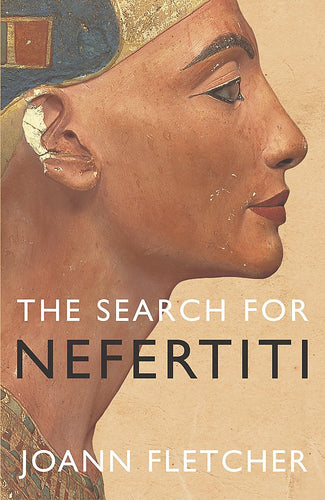 Search for Nefertiti cover image