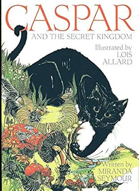 Caspar and the Secret Kingdom cover image