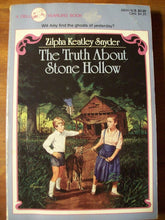 Load image into Gallery viewer, The Truth About Stone Hollow cover image

