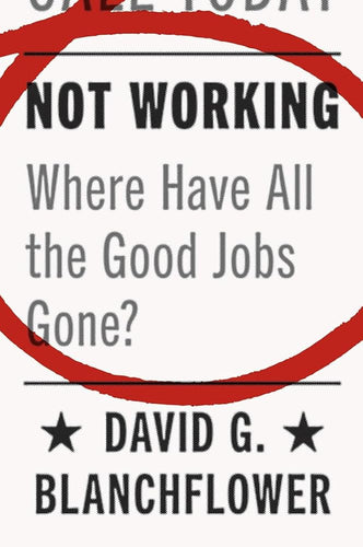 Not Working: Where Have All the Good Jobs Gone? cover image