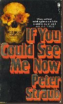 If You Could See Me Now cover image