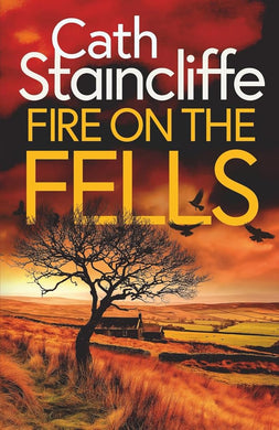 FIRE ON THE FELLS an absolutely gripping British crime thriller full of twists (Detectives Donovan & Young) cover image