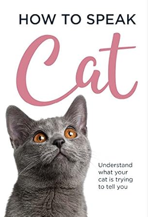 How to speak Cat cover image