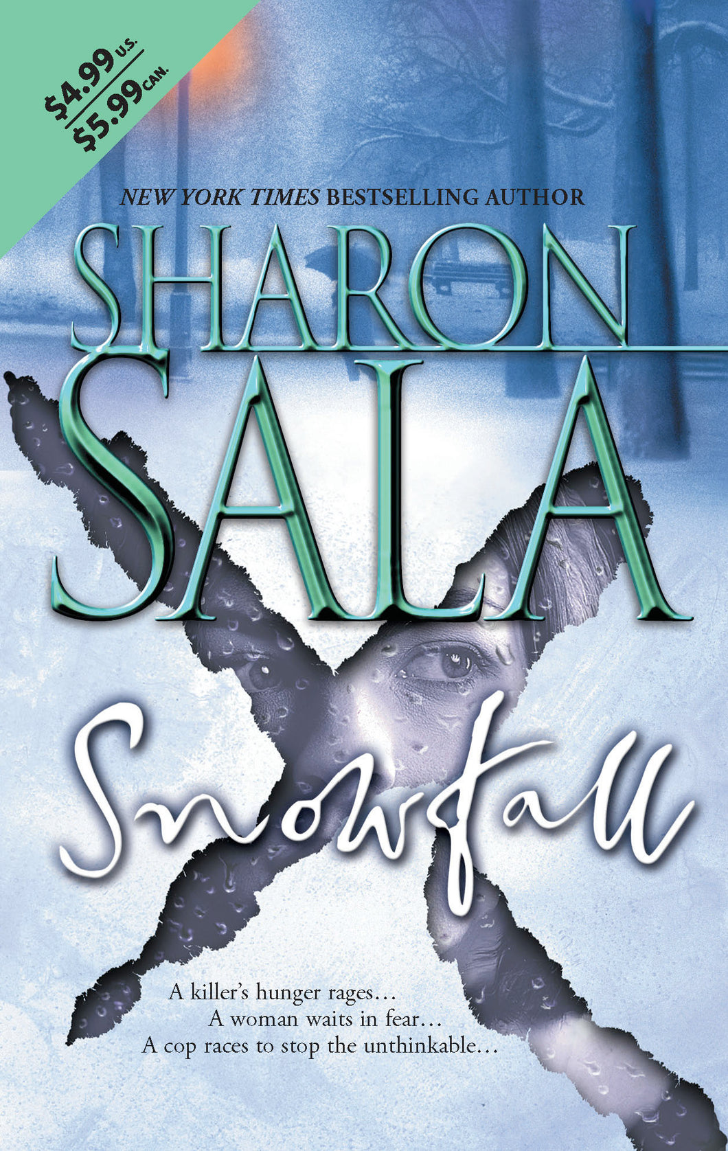 Snowfall