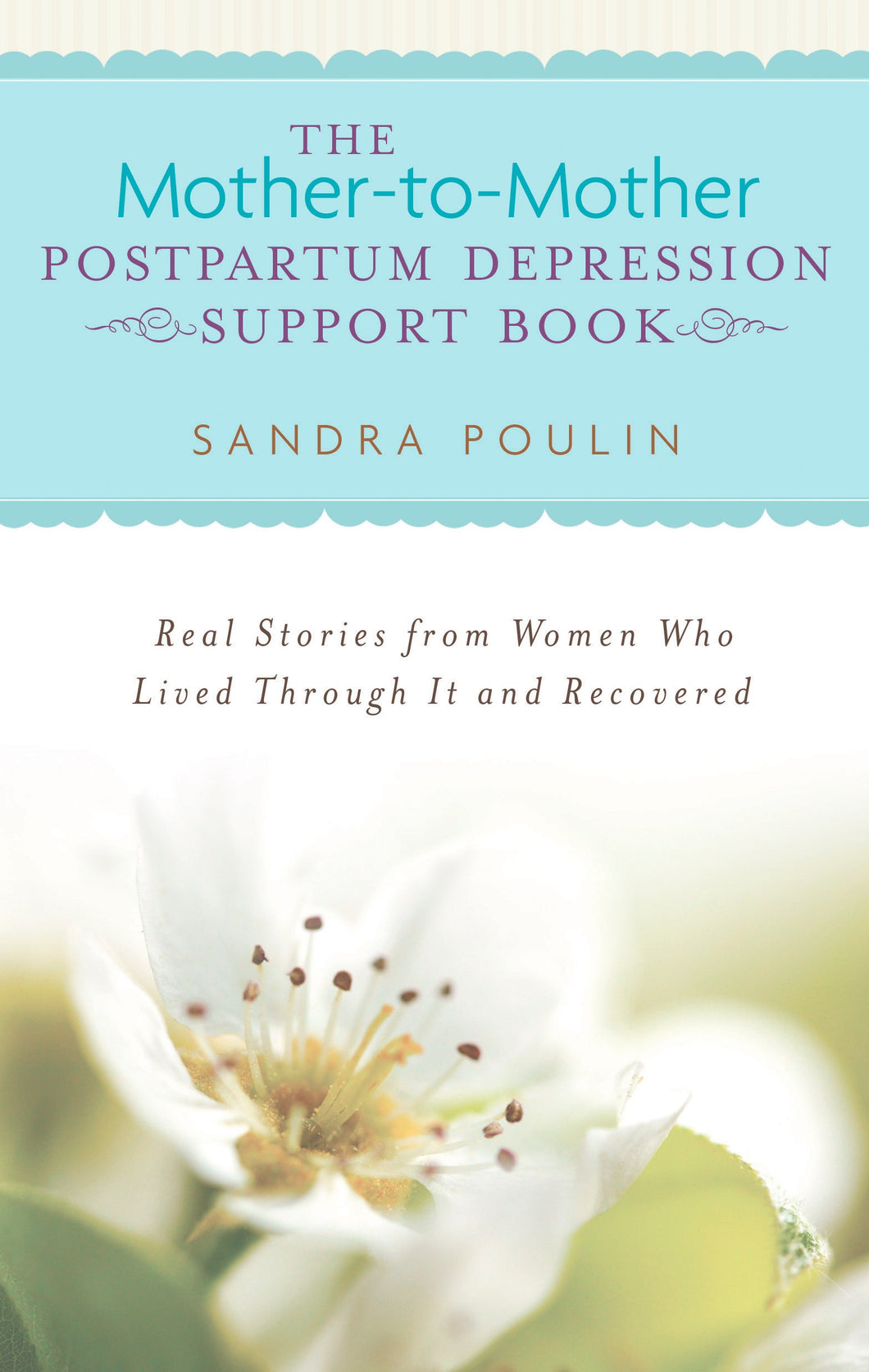 The Mother-to-Mother Postpartum Depression Support Book