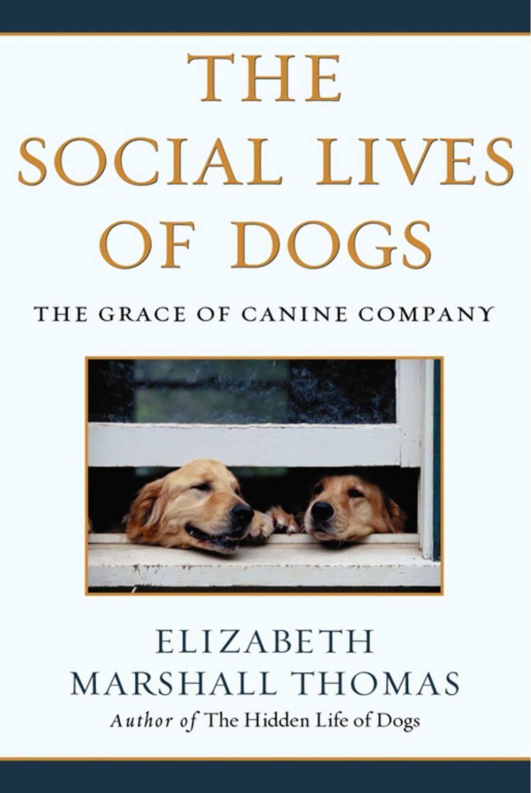 The Social Lives of Dogs