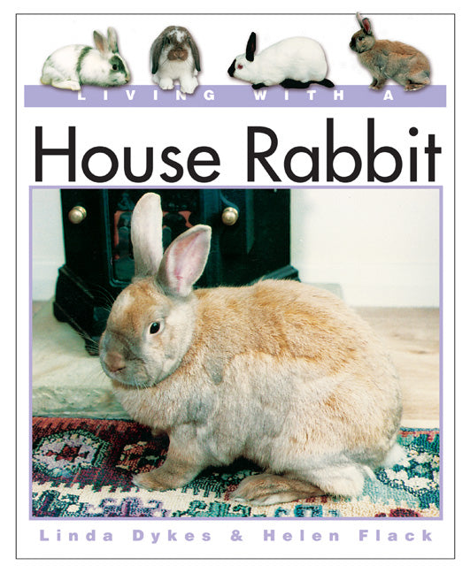 Living With a House Rabbit