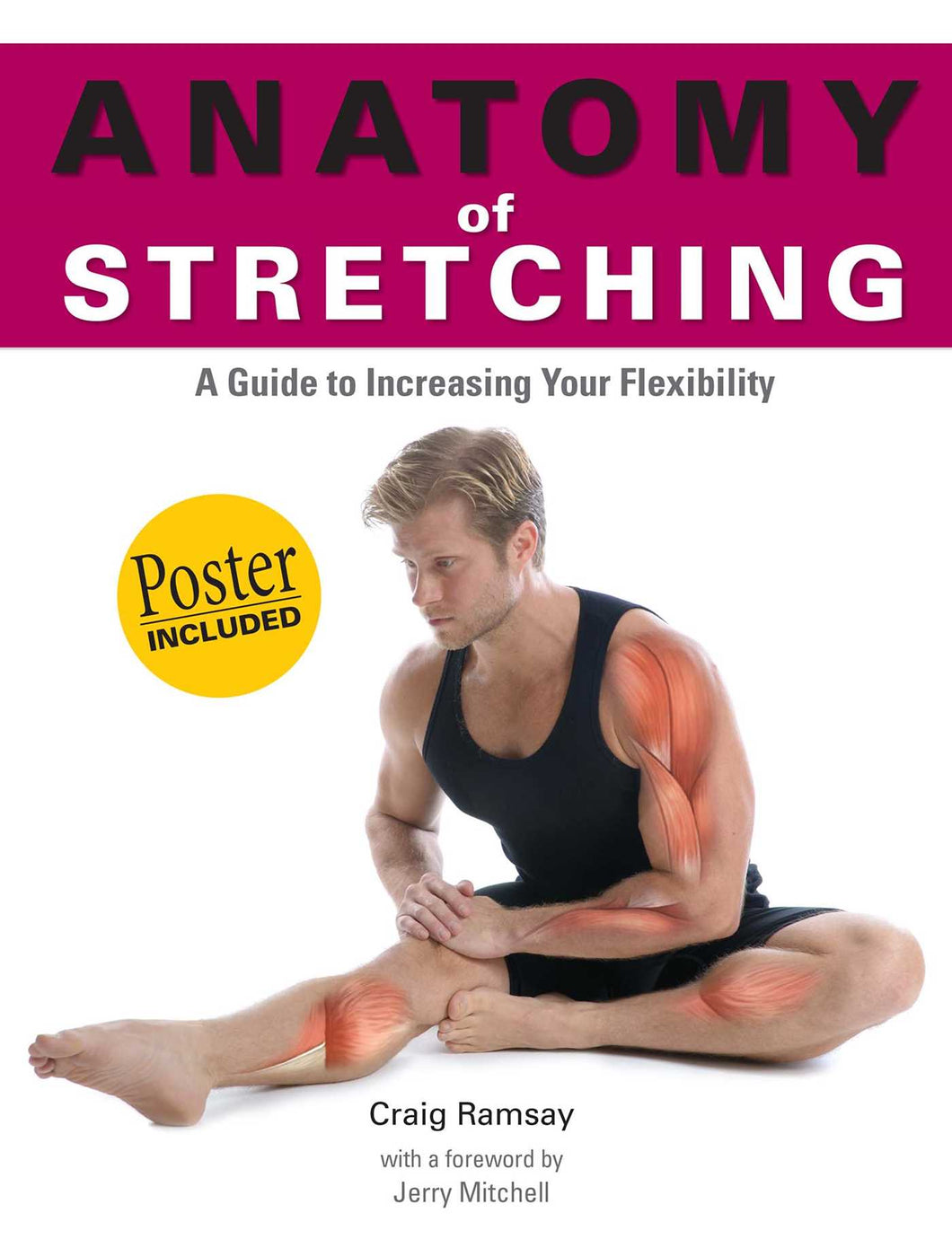 Anatomy of Stretching