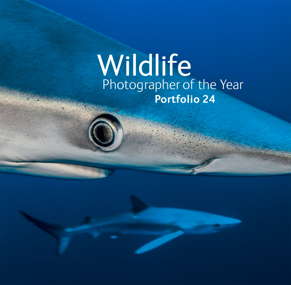 Wildlife Photographer of the Year: Portfolio 24