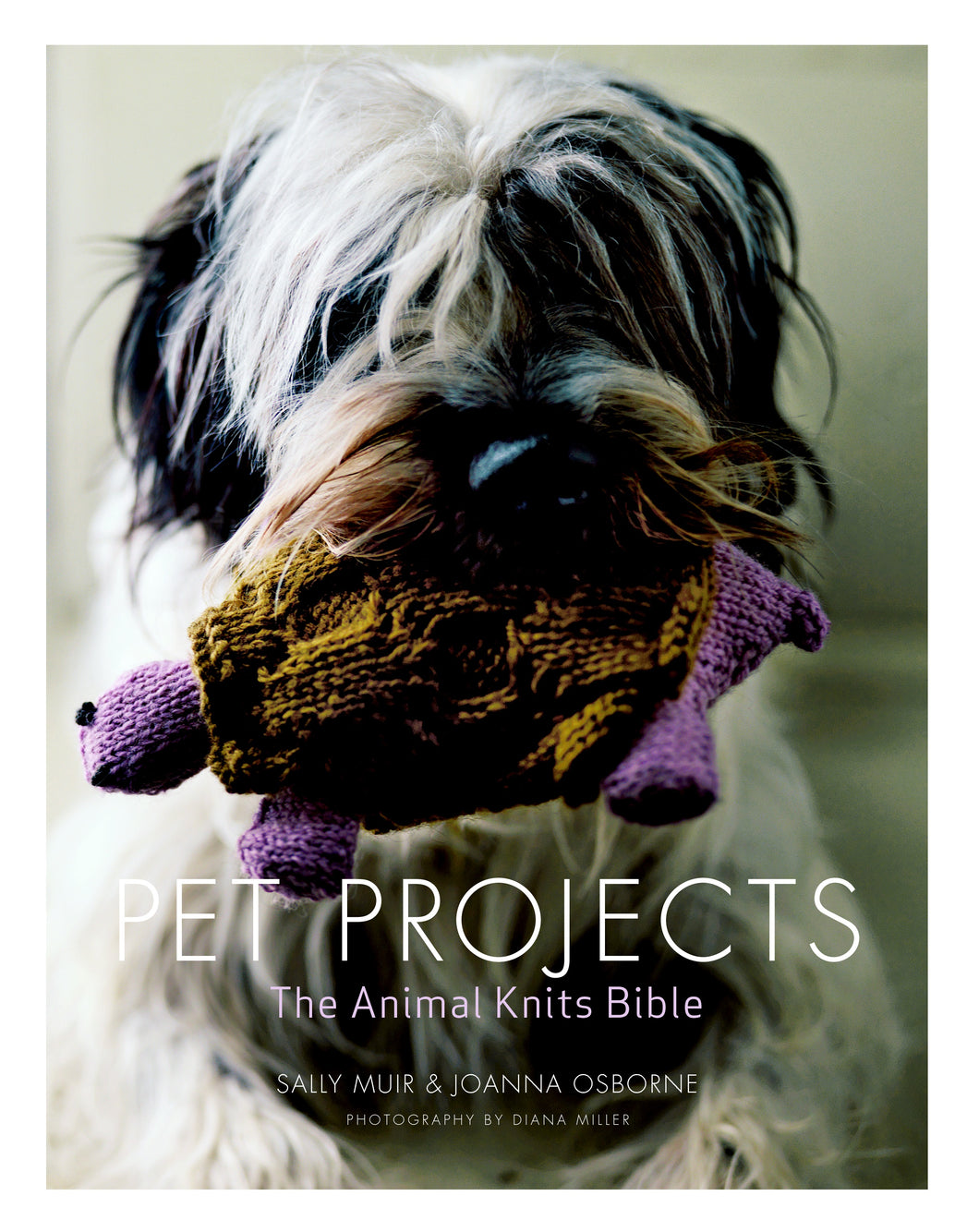 Pet Projects