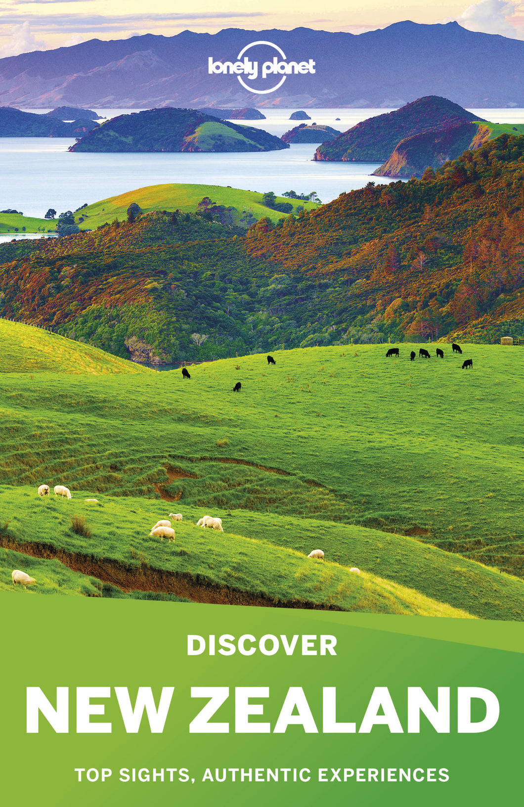 Lonely Planet Discover New Zealand 5 5th Ed.