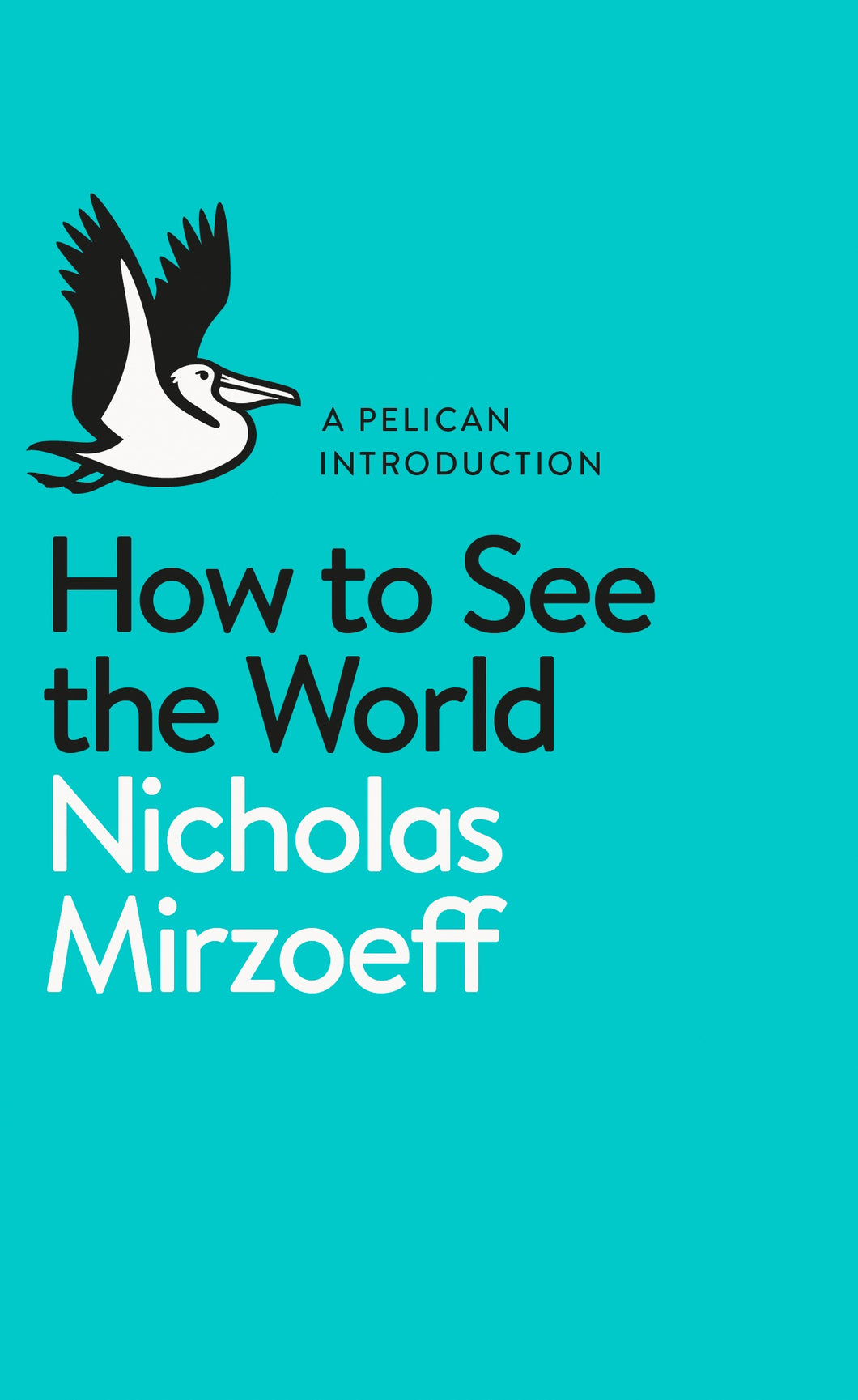 A Pelican Introduction: How To See the World
