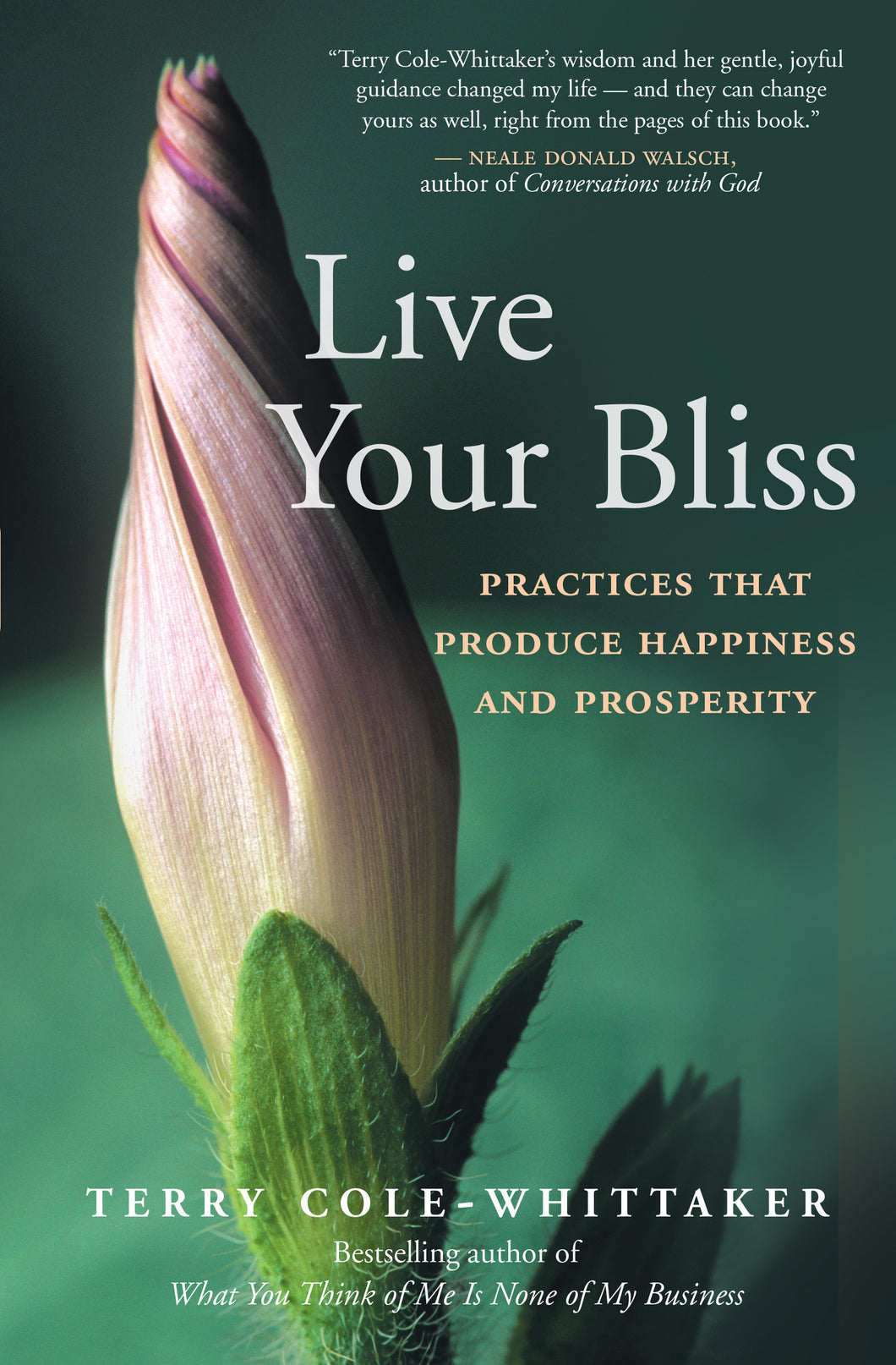 Live Your Bliss