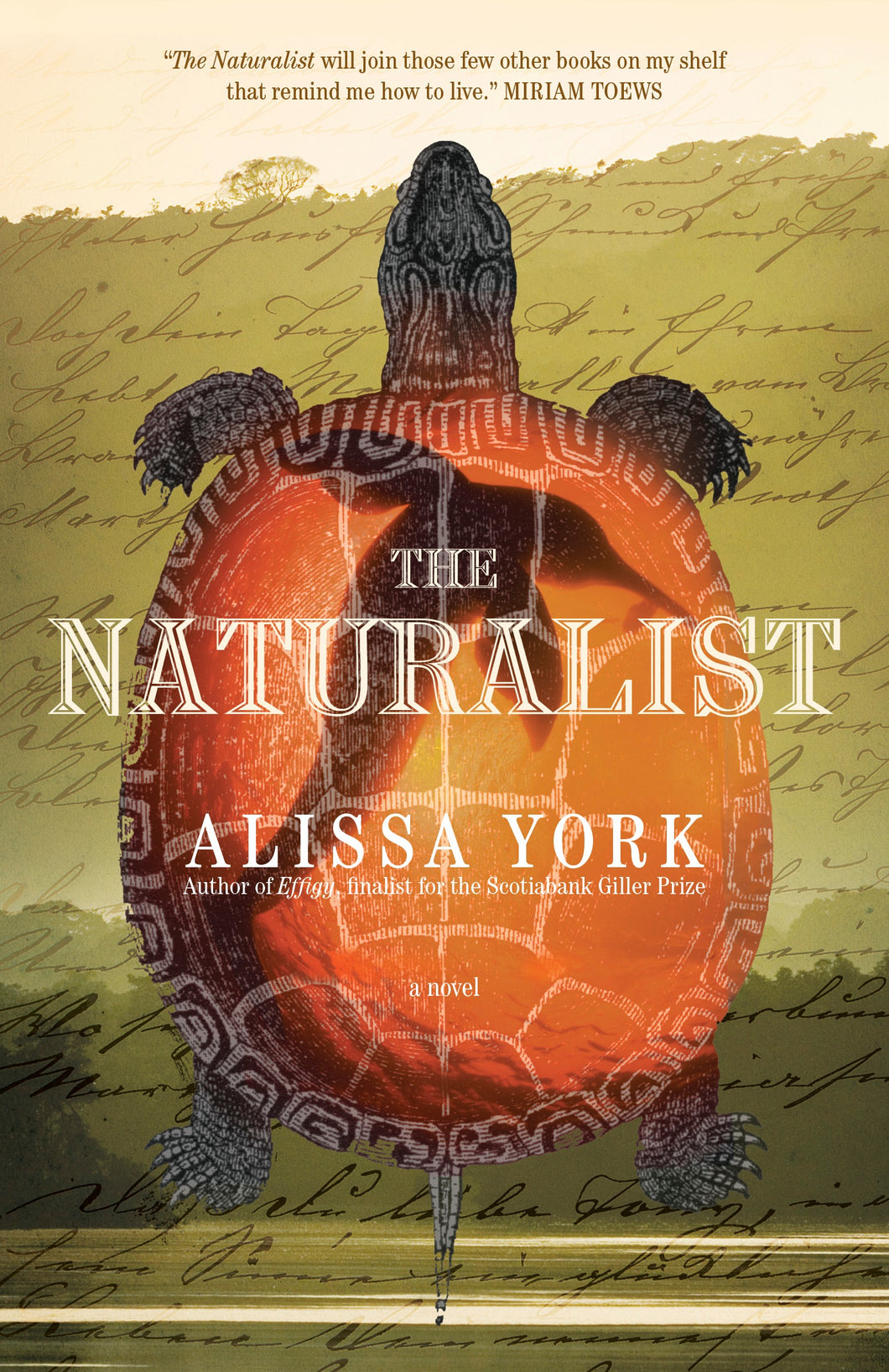 The Naturalist