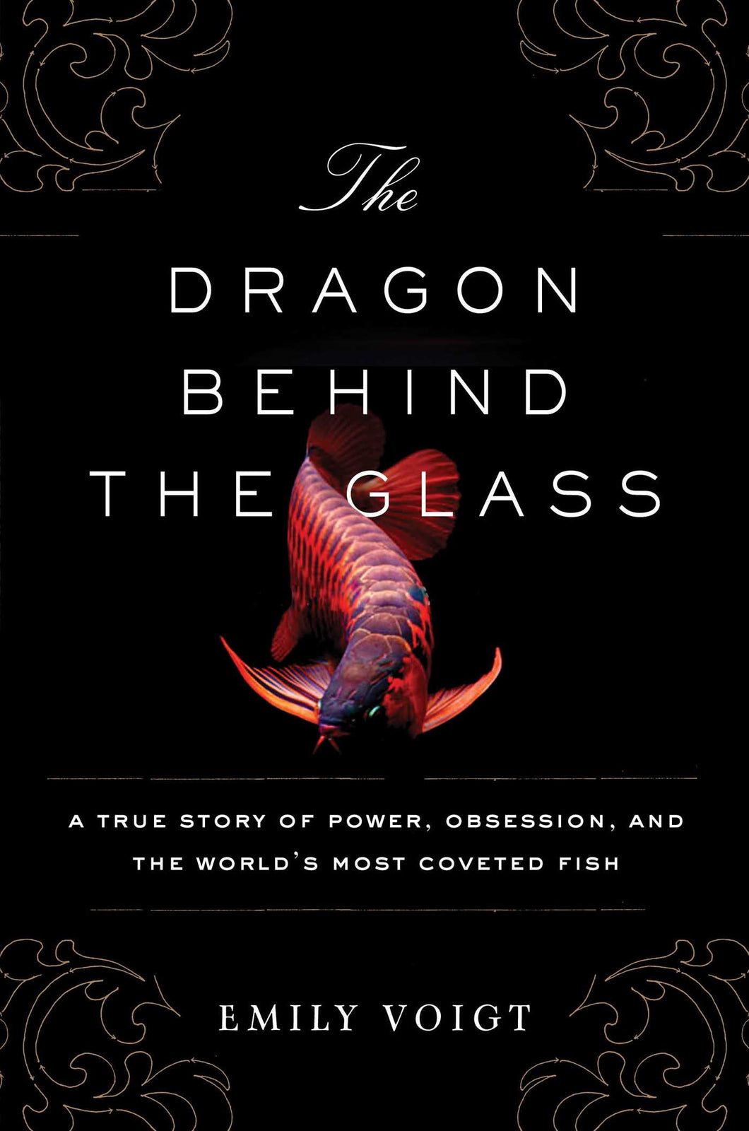 The Dragon Behind the Glass