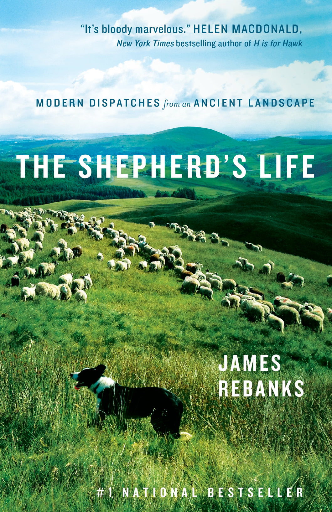 The Shepherd's Life