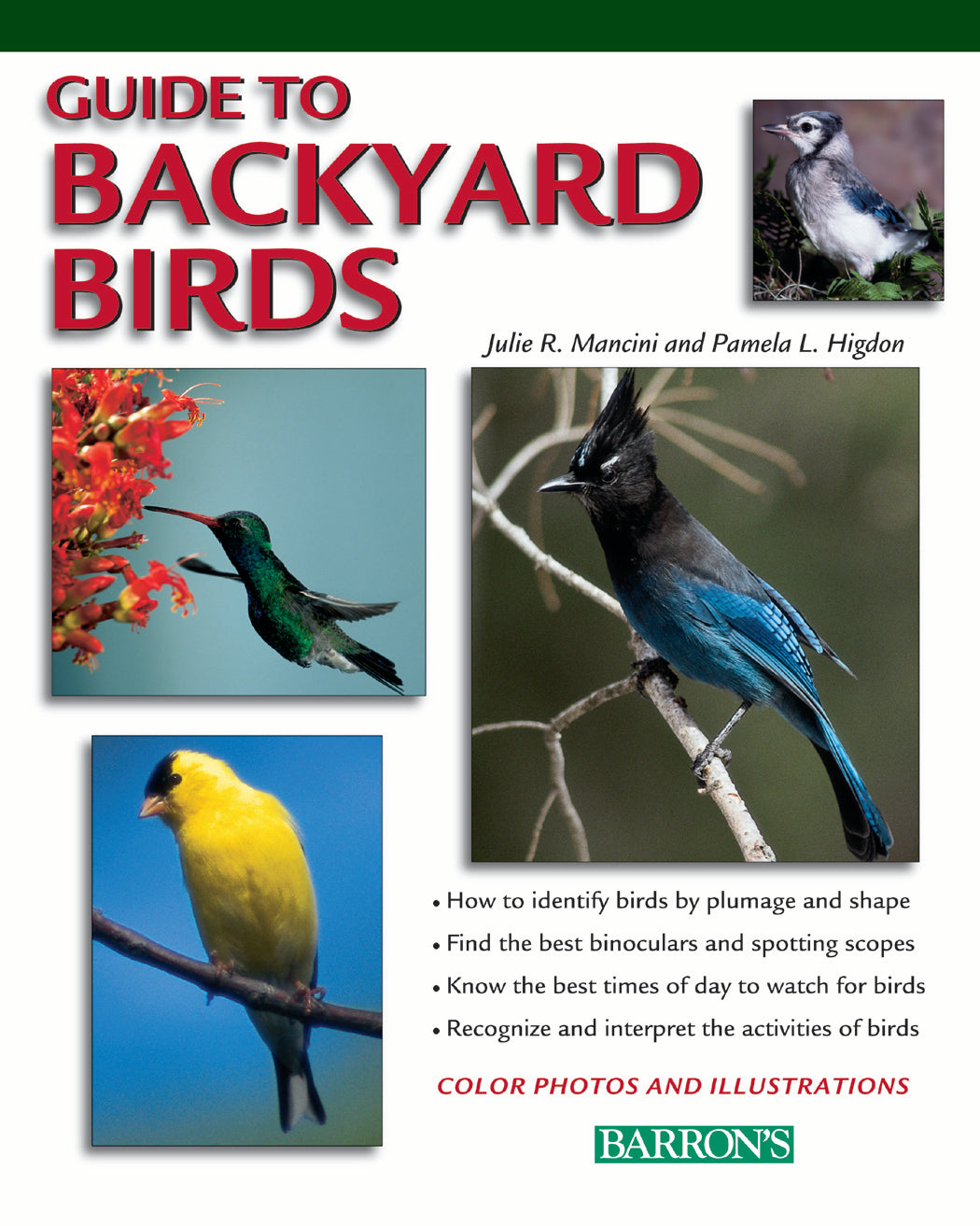 Guide to Backyard Birds