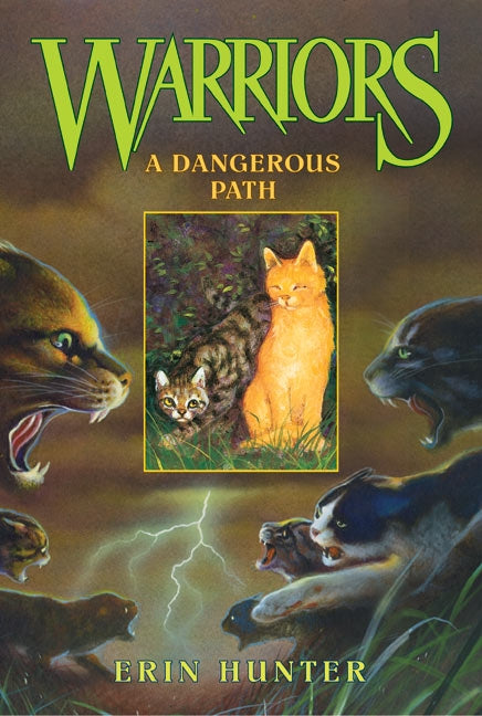 Warriors #5 A Dangerous Path