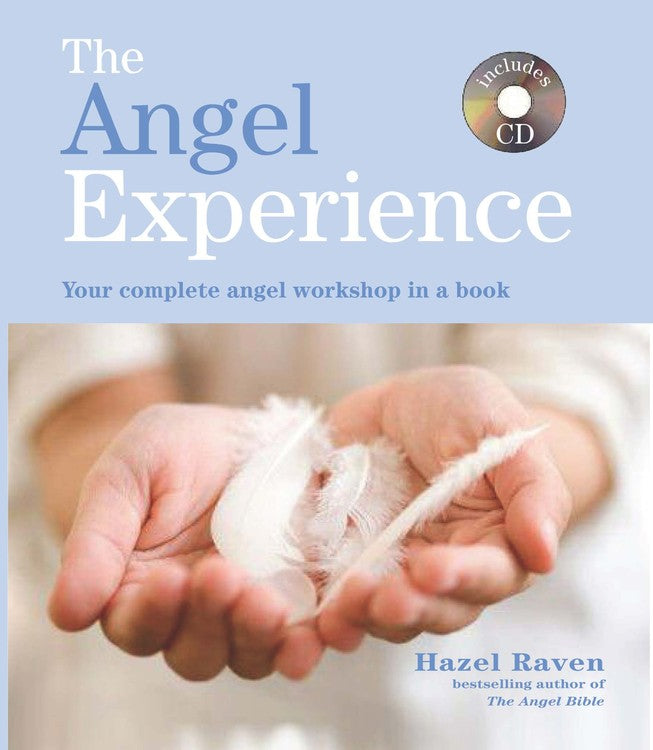 The Angel Experience