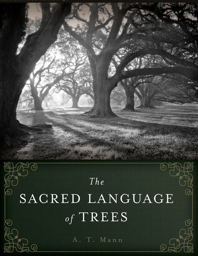 The Sacred Language of Trees