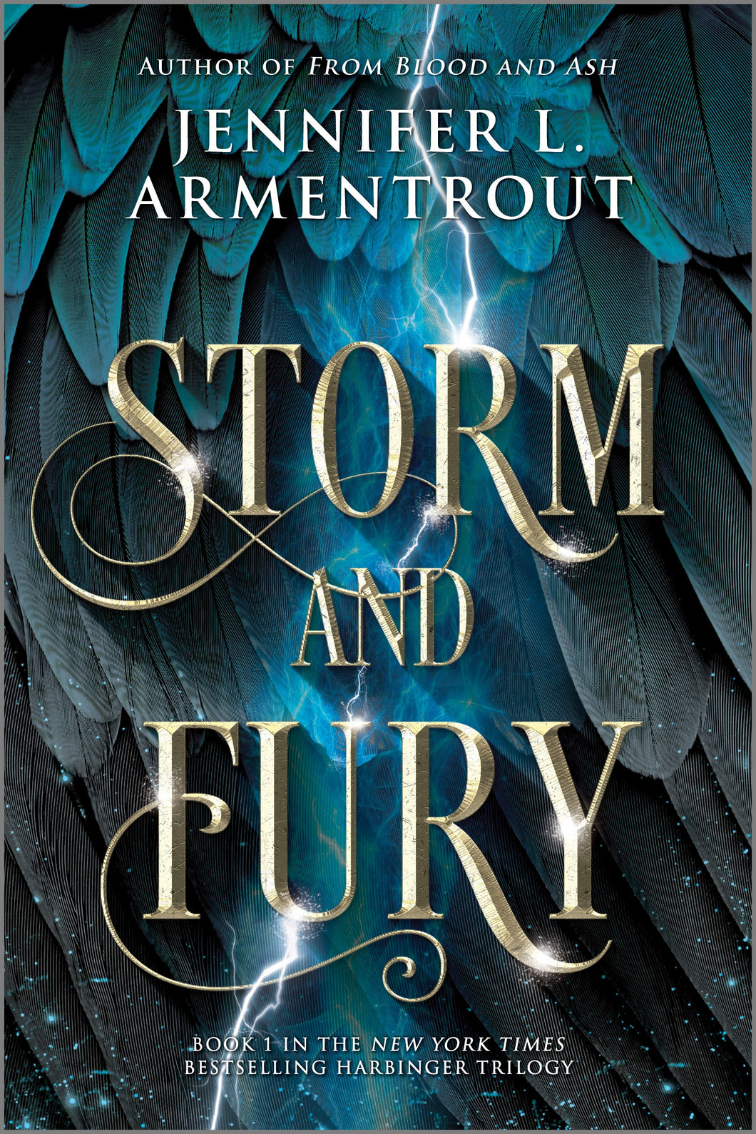 Storm and Fury