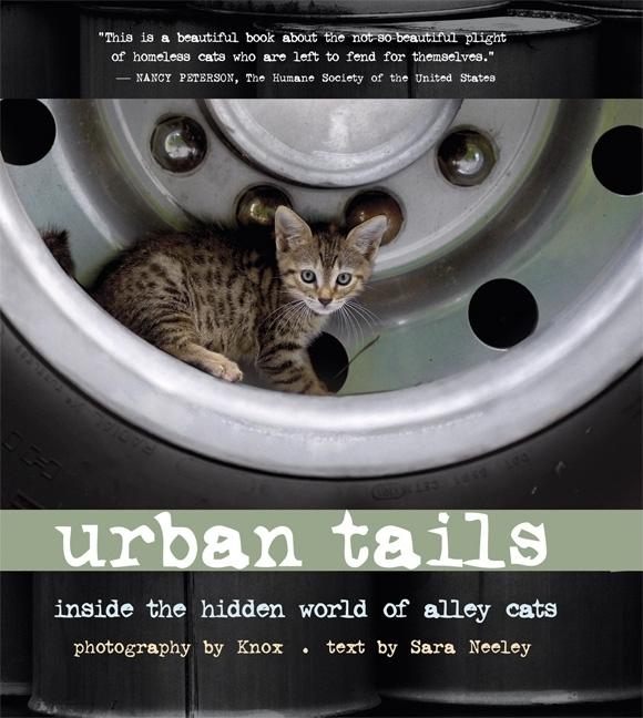 Urban Tails