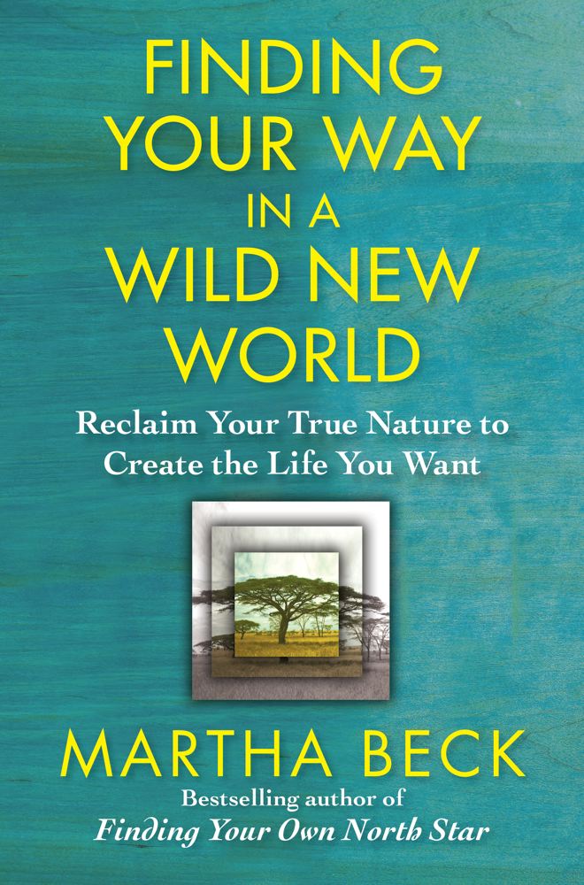 Finding Your Way in a Wild New World