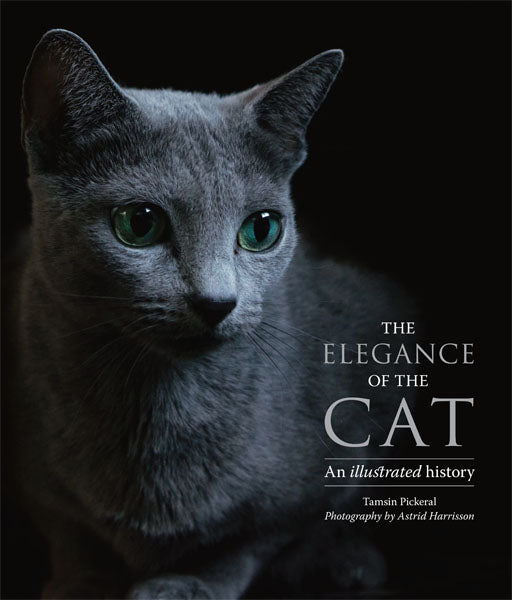The Elegance of the Cat