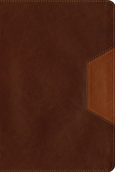 Christian Basics Bible NLT, TuTone (LeatherLike, Brown/Tan)