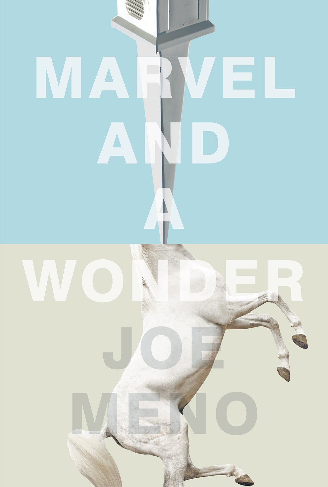Marvel and a Wonder
