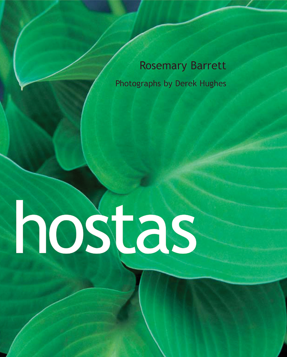 Hostas