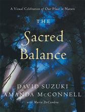 Load image into Gallery viewer, The Sacred Balance
