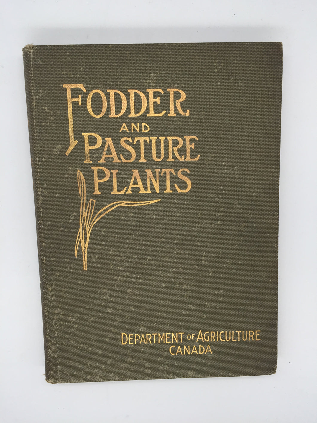 Fodder And Pasture Plants