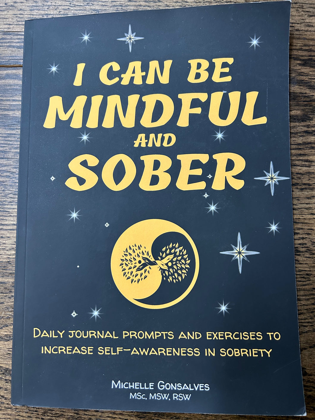 I Can Be Mindful and Sober