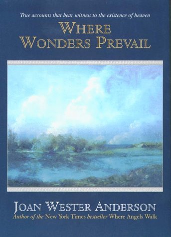 Where Wonders Prevail: True Accounts That Bear Witness to the Existence of Heaven