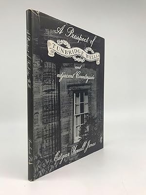 A Prospect of Tunbridge Wells and Adjacent Countyside